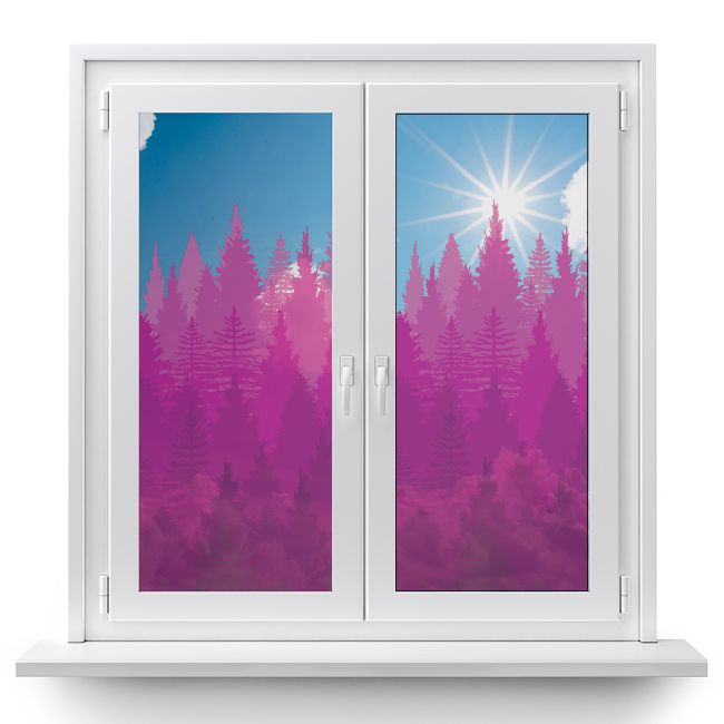 folia-samoprzylepna-okno-natura-las