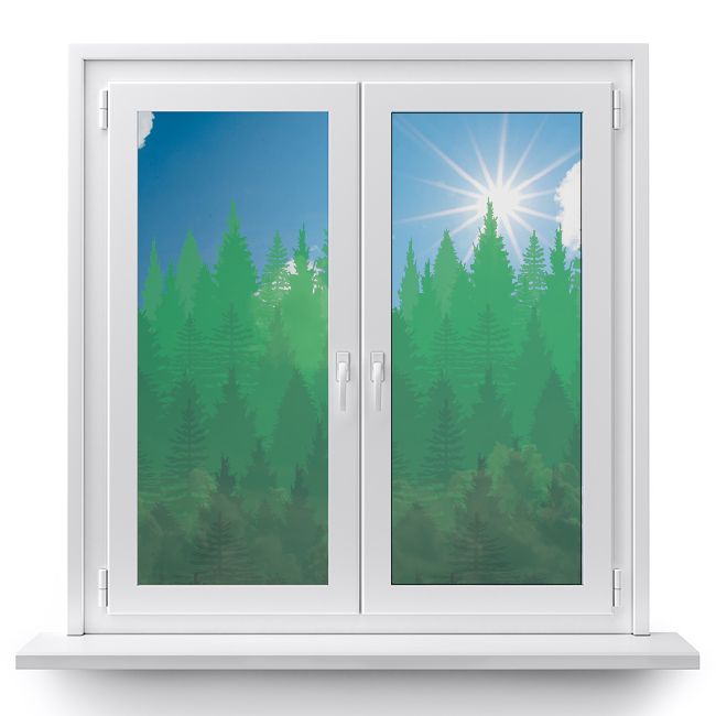 folia-samoprzylepna-okno-natura-las3